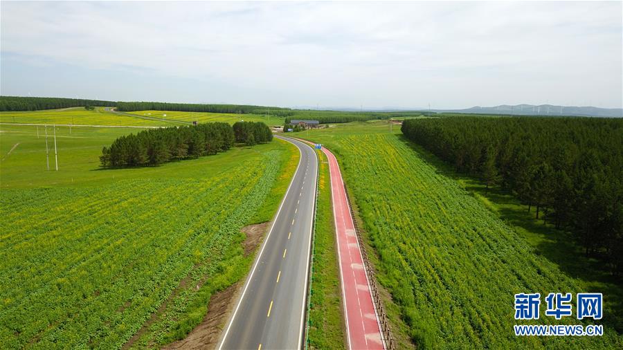 （新華全媒頭條&middot;圖文互動(dòng)）（4）那一抹綠色，走進(jìn)越來越多人心里&mdash;&mdash;河北塞罕壩續(xù)寫新時(shí)代綠色傳奇
