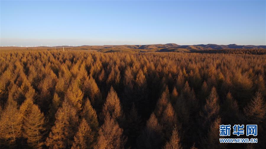 （新華全媒頭條&middot;圖文互動(dòng)）（6）那一抹綠色，走進(jìn)越來越多人心里&mdash;&mdash;河北塞罕壩續(xù)寫新時(shí)代綠色傳奇