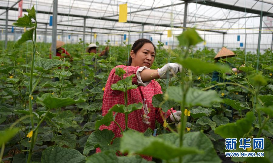 （新華全媒頭條&middot;圖文互動）（11）心中有夢想，腳下就有力量&mdash;&mdash;寫在&ldquo;中國夢&rdquo;提出六周年之際