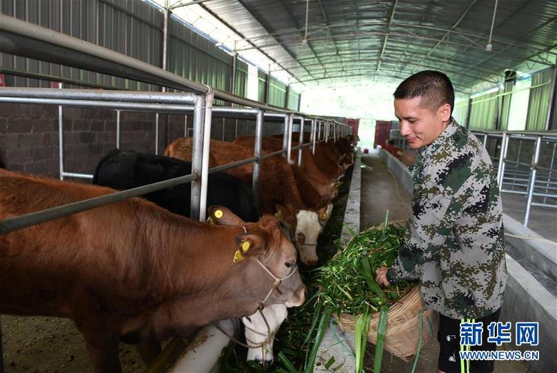 （輝煌60年&middot;壯美新廣西&middot;圖文互動(dòng)）（7）奮力書(shū)寫(xiě)壯鄉(xiāng)反貧困歷史新篇章&mdash;&mdash;廣西干部群眾接續(xù)奮斗脫貧攻堅(jiān)觀察