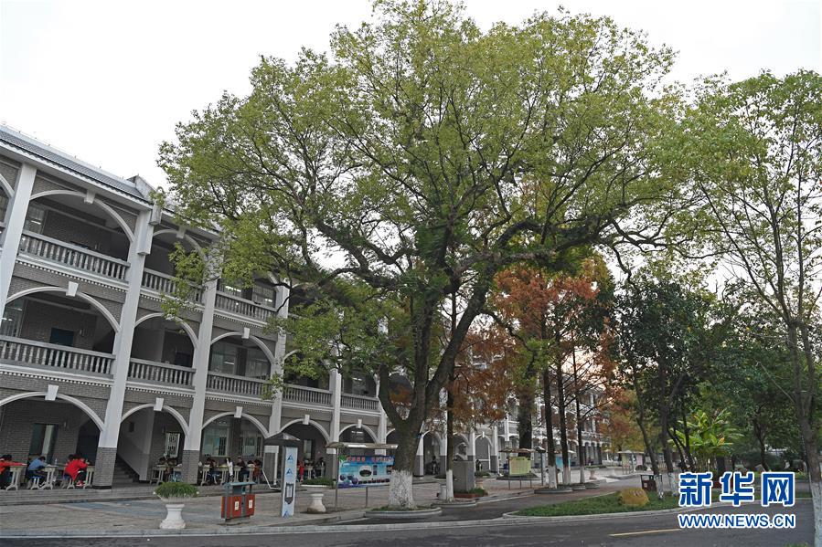 (慶祝改革開(kāi)放40周年基層行·學(xué)校篇·圖文互動(dòng))(9)白鷺洲中學(xué)40年:書(shū)院教育的時(shí)代探索