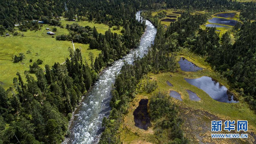 (百城百縣百企調(diào)研行·圖文互動)(1)西藏米林縣的綠色富裕路