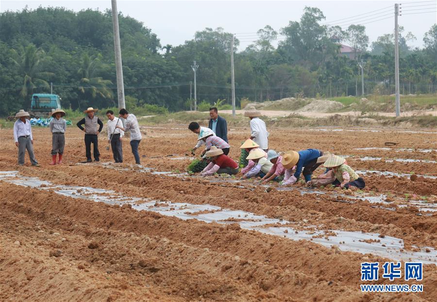 （新華視點&middot;回望2018&middot;圖文互動）（7）2018年新華社曝光多起破壞生態(tài)事件，記者年底追訪發(fā)現(xiàn)&hellip;&hellip;