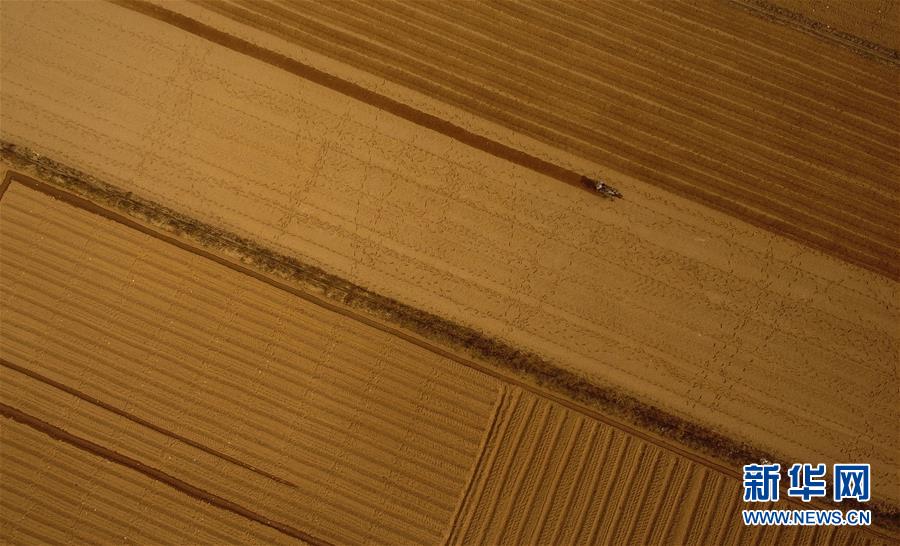 （百城百縣百企調(diào)研行&middot;圖文互動）（2）海南農(nóng)墾：農(nóng)業(yè)&ldquo;國家隊&rdquo;打贏改革&ldquo;翻身仗&rdquo;