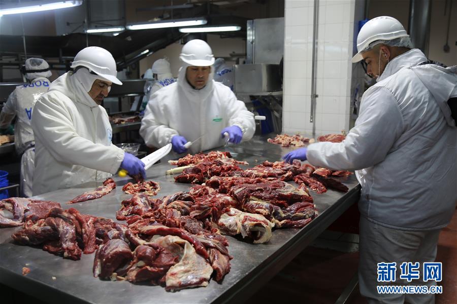 （新華全媒頭條&middot;圖文互動）（8）新華社評論員：向著更加壯闊的航程&mdash;&mdash;致敬改革開放40周年