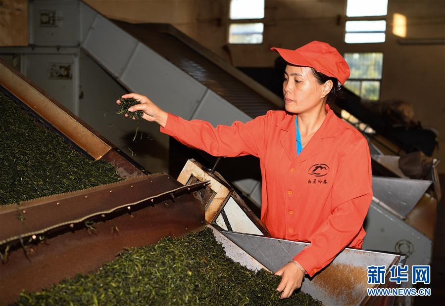 （兩會(huì)&middot;基層代表履職故事）（7）全國(guó)人大代表符小琴：讓家鄉(xiāng)在改革開放中發(fā)展得更好