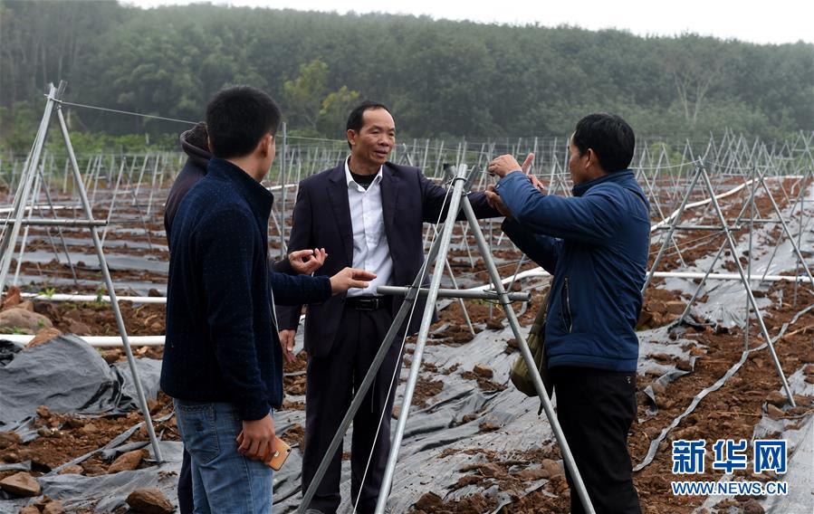 （兩會&middot;基層委員履職故事）（7）全國政協(xié)委員羊風(fēng)極：讓家鄉(xiāng)在鄉(xiāng)村振興中發(fā)展得更好