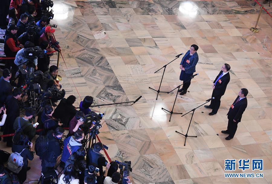 （兩會&middot;XHDW）（15）全國人大代表接受采訪