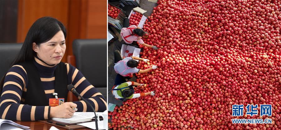 (兩會(huì)·影像鏈接)全國人大代表曾云英:新型農(nóng)業(yè)將迎來高質(zhì)量發(fā)展的機(jī)遇