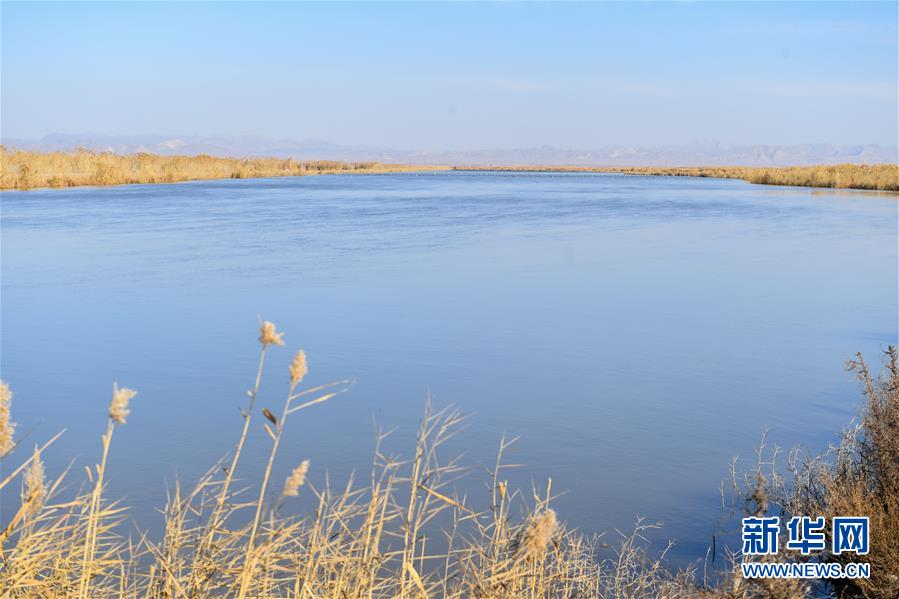 （在習(xí)近平新時代中國特色社會主義思想指引下&mdash;&mdash;新時代新作為新篇章&middot;圖文互動）（1）打響綠色品牌 &ldquo;四控&rdquo;治污增效&mdash;&mdash;內(nèi)蒙古巴彥淖爾探索農(nóng)業(yè)高質(zhì)量發(fā)展