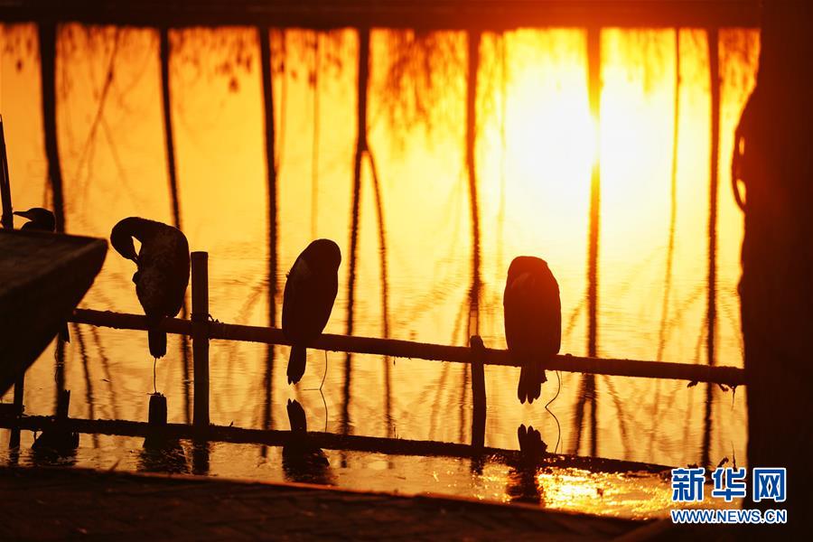 （新華全媒頭條&middot;圖文互動）（8）&ldquo;雄安大計(jì)&rdquo;躍然紙上 &ldquo;未來之城&rdquo;呼之欲出&mdash;&mdash;《河北雄安新區(qū)總體規(guī)劃》解讀