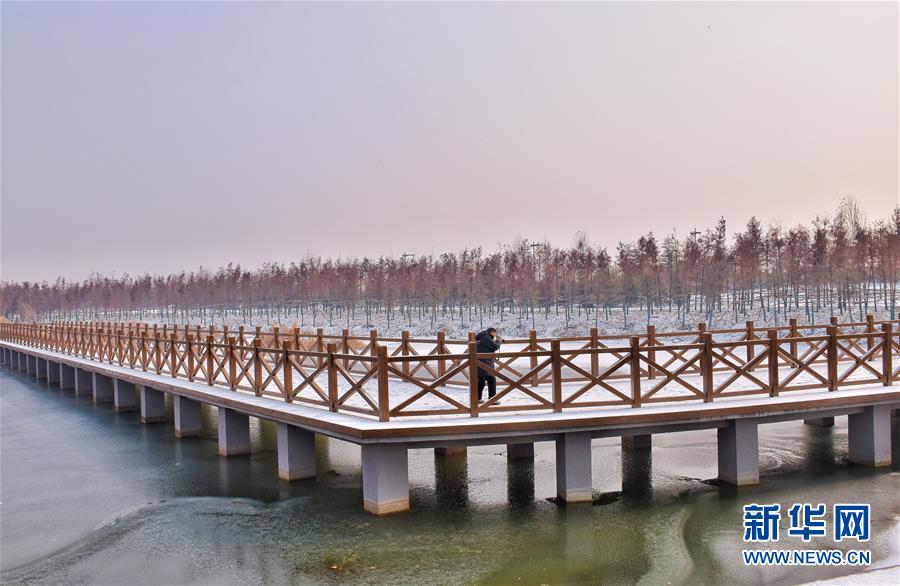 （在習(xí)近平新時(shí)代中國(guó)特色社會(huì)主義思想指引下&mdash;&mdash;新時(shí)代新作為新篇章&middot;圖文互動(dòng)）（4）水綠相間看古都 古今輝映洛陽城