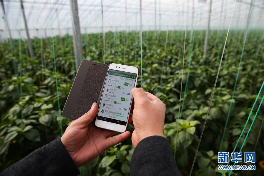 （新華全媒頭條&middot;圖文互動(dòng)）（8）聚焦高質(zhì)量，躍上新臺(tái)階&mdash;&mdash;新年開局看中國(guó)經(jīng)濟(jì)信心和潛力