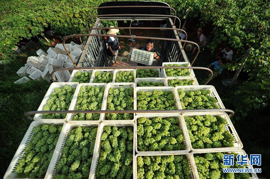 （兩會前夕看落實&middot;圖文互動）（7）決戰(zhàn)脫貧攻堅 奮力后發(fā)趕超&mdash;&mdash;貴州落實習(xí)近平總書記全國兩會重要講話精神紀(jì)實