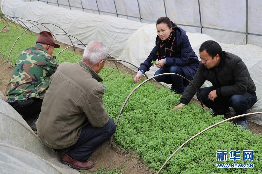（兩會(huì)前夕看落實(shí)&middot;圖文互動(dòng)）（1）奮力脫貧攻堅(jiān) 生態(tài)追&ldquo;清&rdquo;逐&ldquo;綠&rdquo;&mdash;&mdash;江西落實(shí)習(xí)近平總書(shū)記全國(guó)兩會(huì)重要講話精神紀(jì)實(shí)