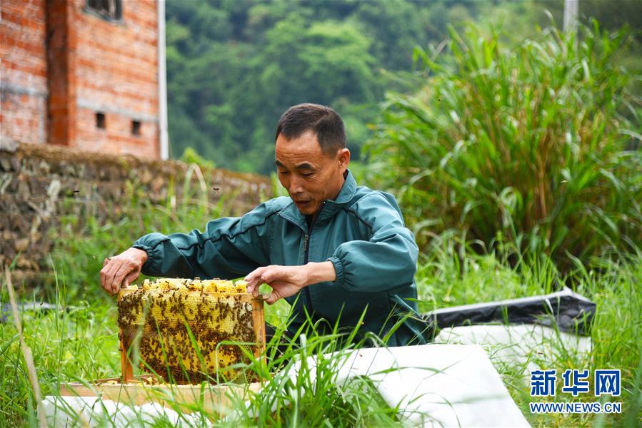 （兩會(huì)前夕看落實(shí)&middot;圖文互動(dòng)）（7）奮力脫貧攻堅(jiān) 生態(tài)追&ldquo;清&rdquo;逐&ldquo;綠&rdquo;&mdash;&mdash;江西落實(shí)習(xí)近平總書(shū)記全國(guó)兩會(huì)重要講話精神紀(jì)實(shí)