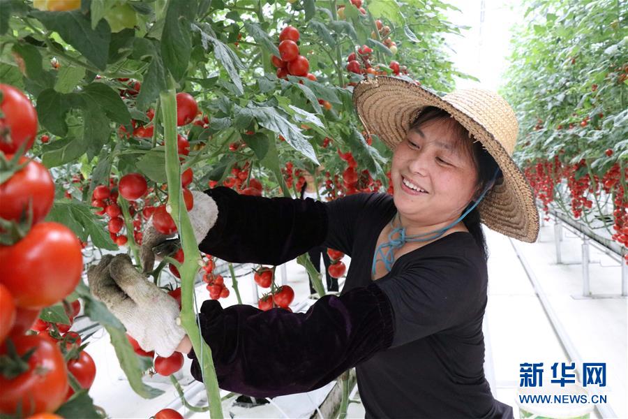 （兩會(huì)前夕看落實(shí)&middot;圖文互動(dòng)）（8）奮力脫貧攻堅(jiān) 生態(tài)追&ldquo;清&rdquo;逐&ldquo;綠&rdquo;&mdash;&mdash;江西落實(shí)習(xí)近平總書(shū)記全國(guó)兩會(huì)重要講話精神紀(jì)實(shí)