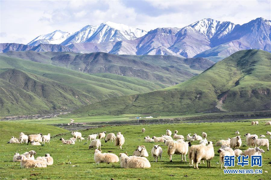 (兩會(huì)前夕看落實(shí)·圖文互動(dòng))(1)以“一優(yōu)兩高”戰(zhàn)略描繪三江源壯美畫卷——青海落實(shí)習(xí)近平總書記全國(guó)兩會(huì)重要講話精神紀(jì)實(shí)