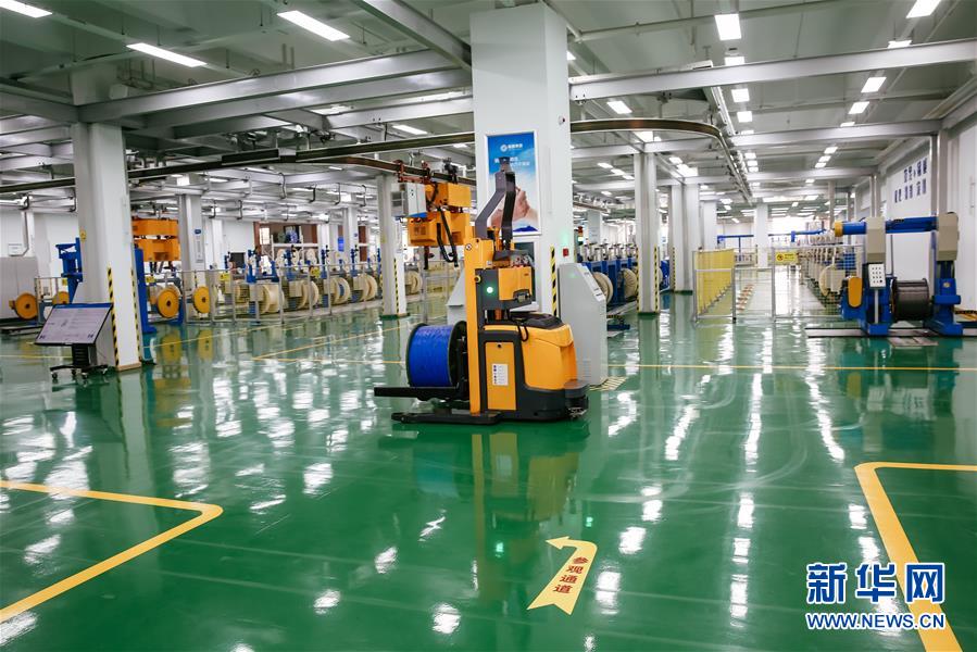 (新華全媒頭條·圖文互動)(7)沖寒先已笑東風(fēng)——新春浙江民營企業(yè)走訪實(shí)錄