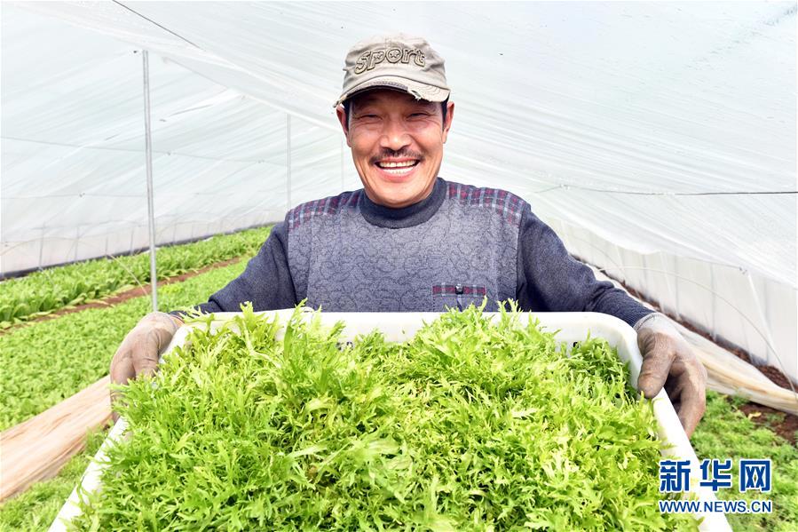 （兩會前夕看落實&middot;圖文互動）（3）融合&ldquo;三生三美&rdquo; 打造鄉(xiāng)村振興齊魯樣板&mdash;&mdash;山東落實習近平總書記全國兩會重要講話精神紀實