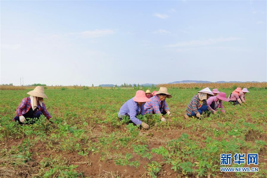 (新華全媒頭條·圖文互動(dòng))(9)滄海桑田一指間——6個(gè)村莊的70年巨變