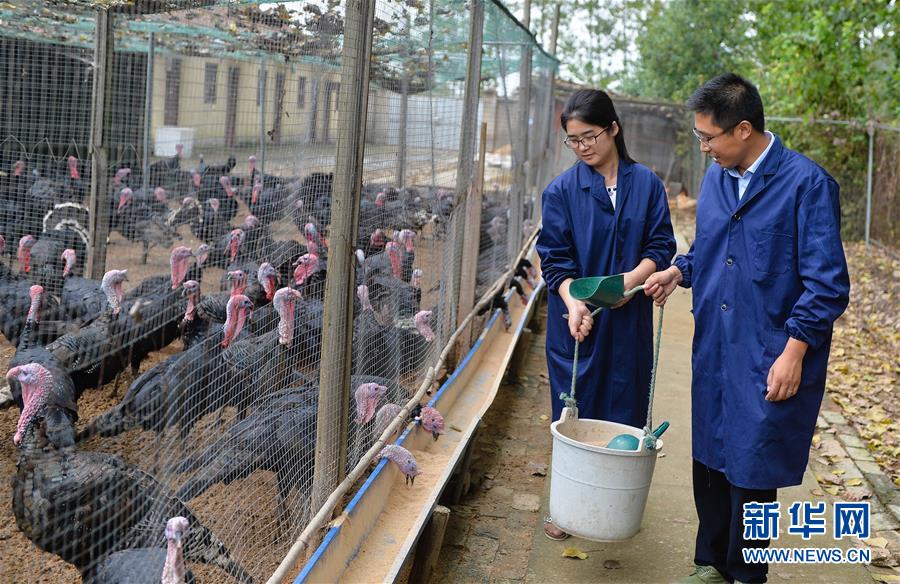 (新華全媒頭條·兩會(huì)特別報(bào)道·圖文互動(dòng))(4)凝聚不懈奮斗的磅礴力量——從全國兩會(huì)看奮進(jìn)中國的奮斗姿態(tài)