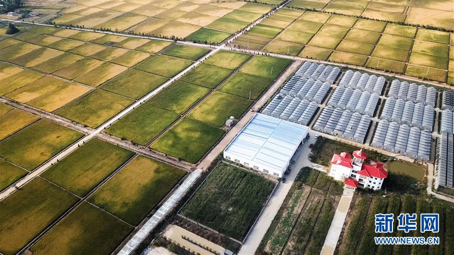 （新華全媒頭條&middot;愛國(guó)情 奮斗者&middot;圖文互動(dòng)）（8）一個(gè)村的奮斗，一個(gè)時(shí)代的巨變&mdash;&mdash;記敢&ldquo;蹚新路&rdquo;的小崗人