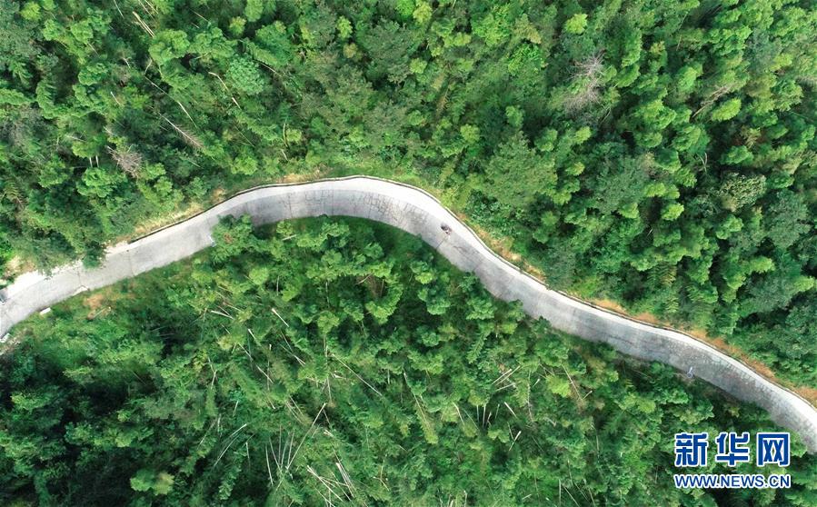 （中國網(wǎng)事&middot;感動2019&middot;圖文互動）（7）鄉(xiāng)村教師高自仁：60多根拐杖，撐起42年教學(xué)路