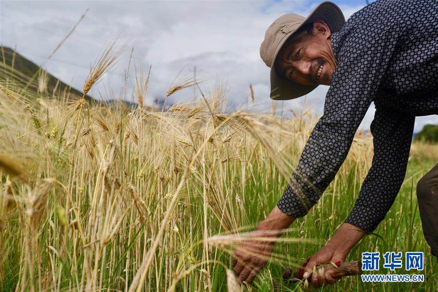 （新華全媒頭條&middot;圖文互動(dòng)）（5）昂首闊步向未來(lái)&mdash;&mdash;寫(xiě)在西藏民主改革60周年之際