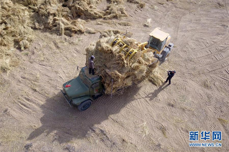 (新華全媒頭條·圖文互動)(7)八步沙·六老漢·三代人