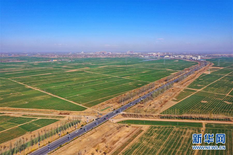 （新華全媒頭條&middot;圖文互動）（2）奮進(jìn)，向著未來之城！&mdash;&mdash;河北雄安新區(qū)建設(shè)發(fā)展兩周年紀(jì)實