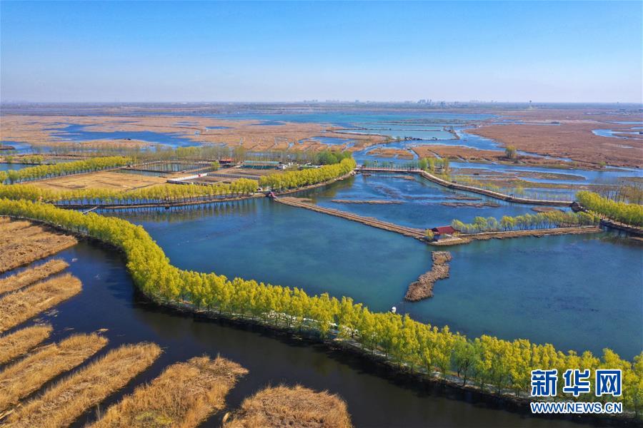 （新華全媒頭條&middot;圖文互動）（5）奮進(jìn)，向著未來之城！&mdash;&mdash;河北雄安新區(qū)建設(shè)發(fā)展兩周年紀(jì)實