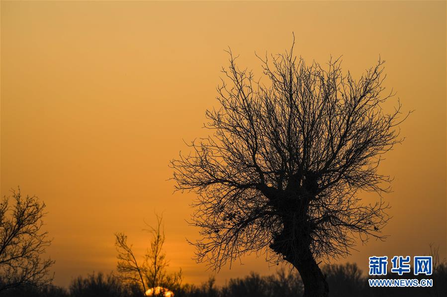 （新華全媒頭條&middot;圖文互動）（2）一步千年，&ldquo;最后的沙漠部落&rdquo;遷入新家園