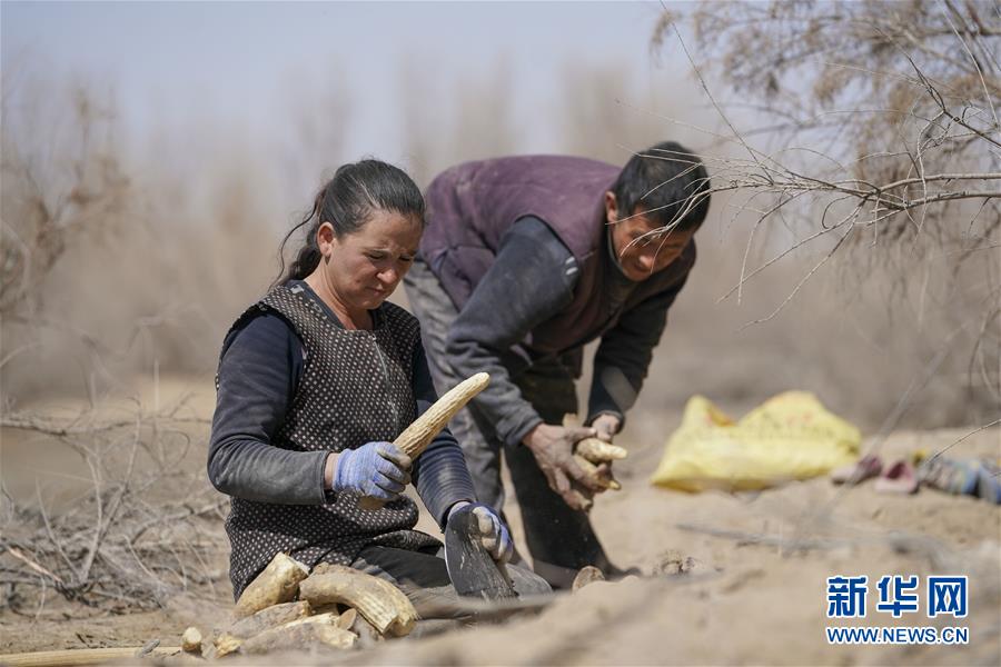 （新華全媒頭條&middot;圖文互動）（6）一步千年，&ldquo;最后的沙漠部落&rdquo;遷入新家園