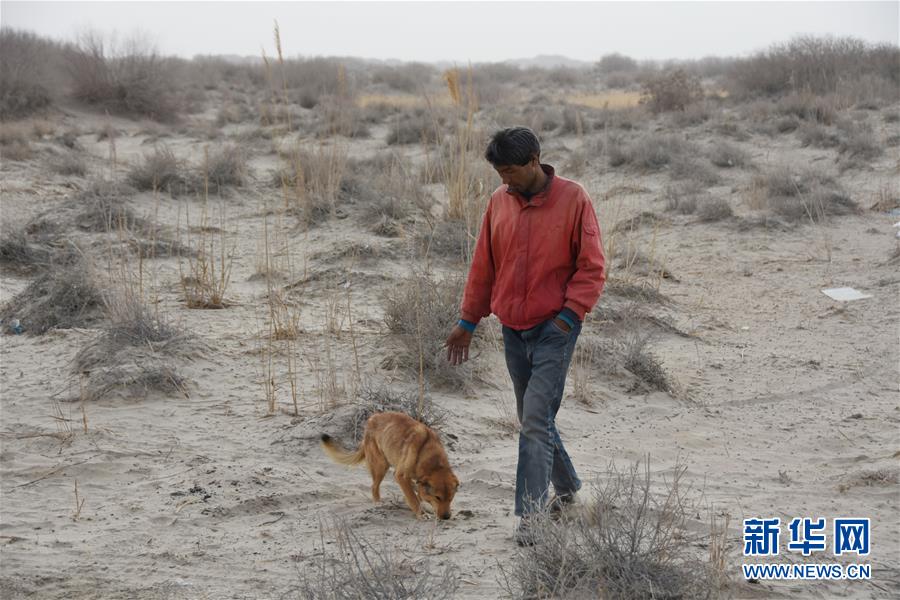 (圖文互動(dòng))(3)海子里的牧羊人見證中國最長內(nèi)陸河生態(tài)變遷