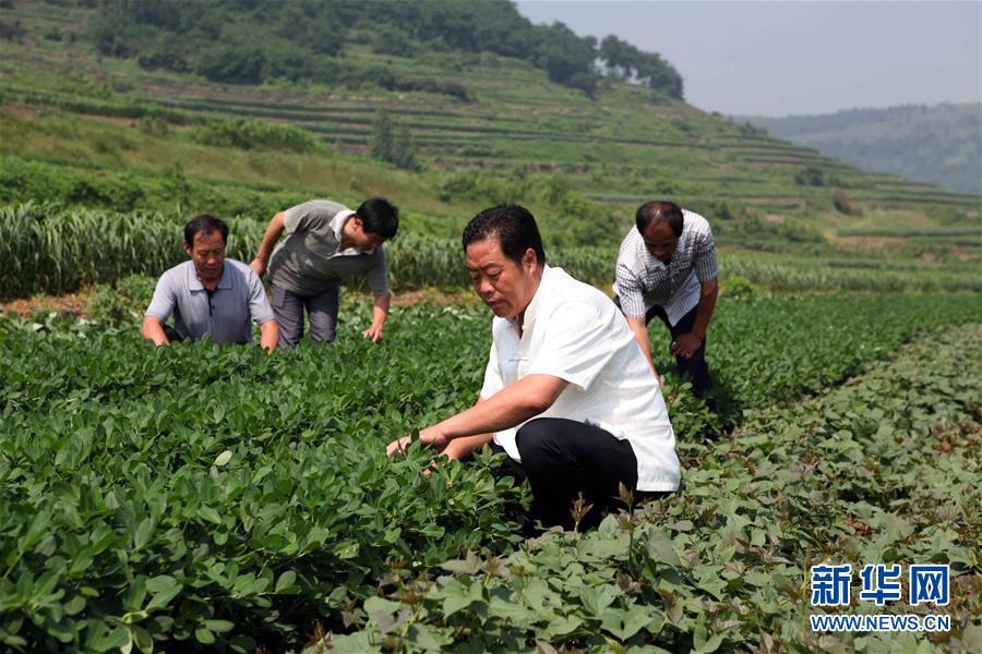(新華全媒頭條·圖文互動(dòng))(1)讓奮斗成為人生最亮麗的底色——寫在2019年“五一”國際勞動(dòng)節(jié)到來之際