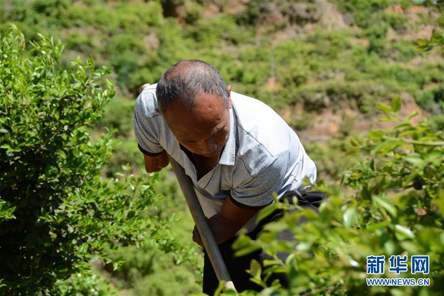 (壯麗70年&middot;奮斗新時(shí)代&middot;圖文互動(dòng)）（1）福建長(zhǎng)?。簱Q顏&ldquo;山光水濁&rdquo; 永駐綠水青山