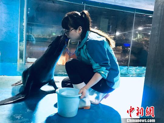 于雅麗與海獅親密瞬間?！“瑧c龍 攝