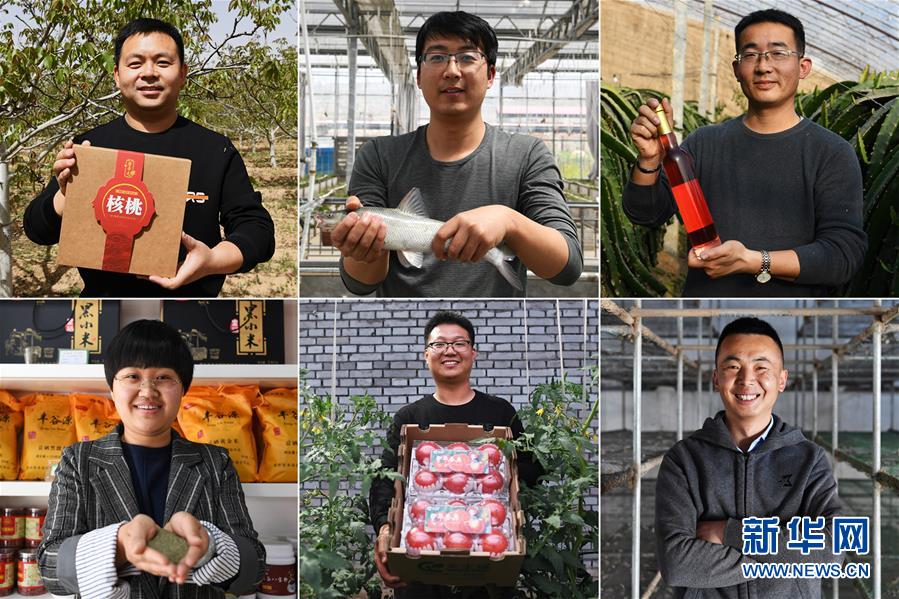 (在習(xí)近平新時(shí)代中國特色社會主義思想指引下——新時(shí)代新作為新篇章·圖文互動(dòng))(1)在綠色田野上書寫青春答卷——幾位“新農(nóng)民”的返鄉(xiāng)創(chuàng)業(yè)故事