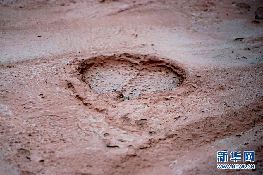 （新華全媒頭條&middot;圖文互動）（8）&ldquo;若問古今興廢事，請君只看洛陽城&rdquo;&mdash;&mdash;千年古都&ldquo;烹制&rdquo;博物館盛宴