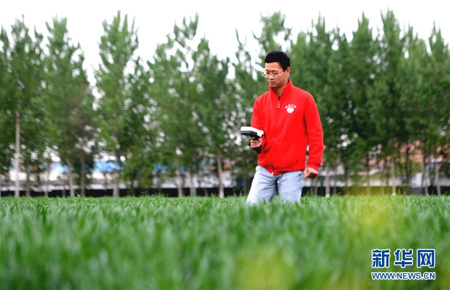 （新華全媒頭條&middot;愛國情 奮斗者&middot;圖文互動）（5）把論文寫在祖國的大地上&mdash;&mdash;中國農(nóng)業(yè)大學46年扎根河北曲周服務鄉(xiāng)村振興紀實