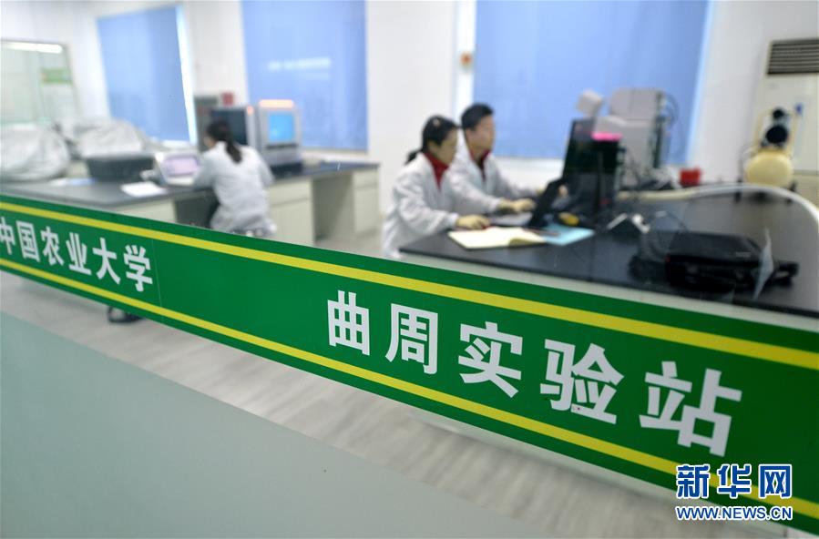 （新華全媒頭條&middot;愛國情 奮斗者&middot;圖文互動）（10）把論文寫在祖國的大地上&mdash;&mdash;中國農(nóng)業(yè)大學46年扎根河北曲周服務鄉(xiāng)村振興紀實