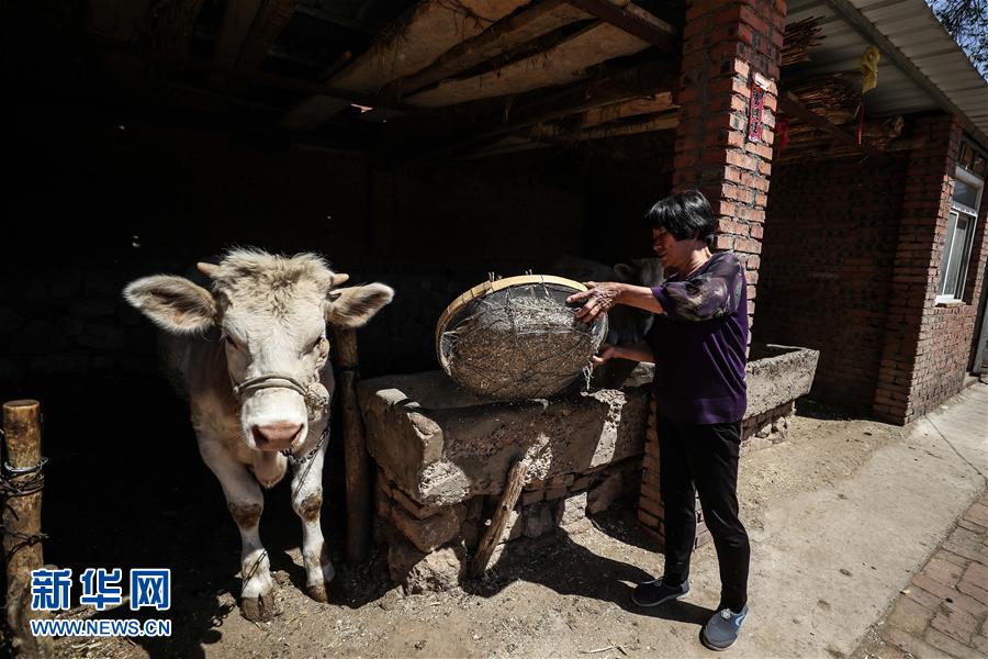 (圖文互動)(2)一條38年的生命通道:媽媽會一直把你當(dāng)作“雛鳥”
