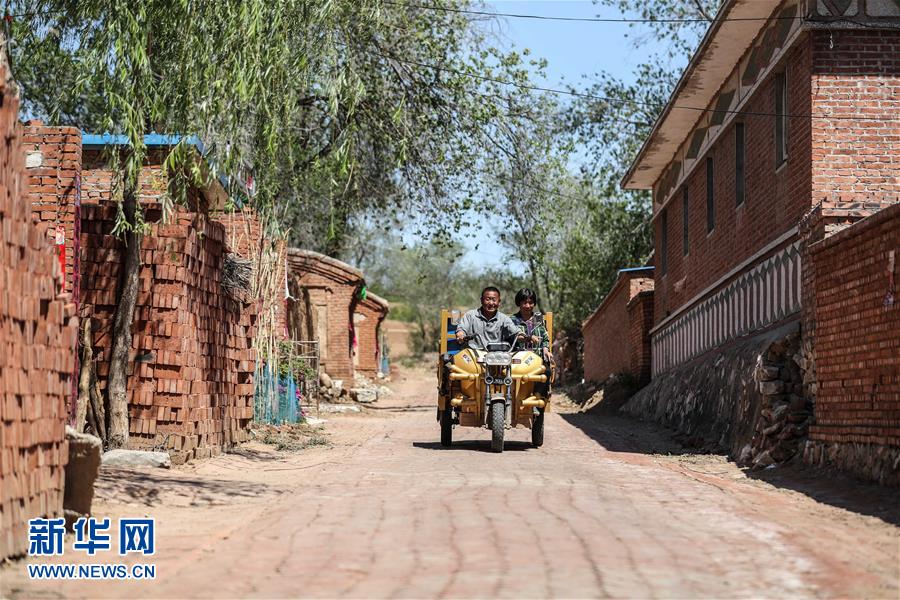 (圖文互動)(3)一條38年的生命通道:媽媽會一直把你當(dāng)作“雛鳥”