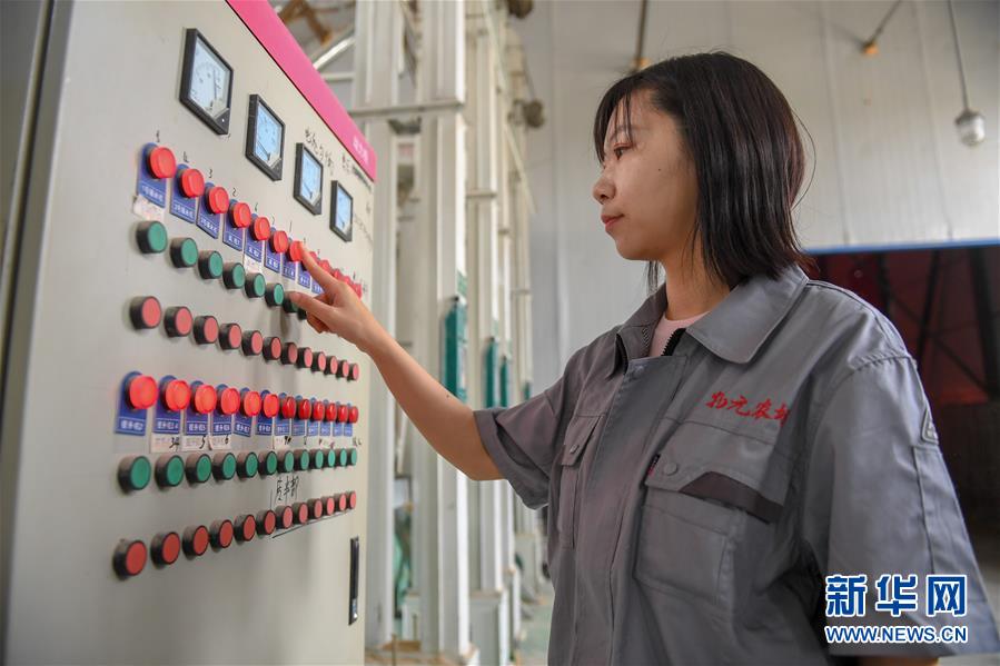 （在習(xí)近平新時代中國特色社會主義思想指引下&mdash;&mdash;新時代新作為新篇章&middot;圖文互動）（5）大學(xué)生種田讓農(nóng)民&ldquo;老把式&rdquo;開了眼&mdash;&mdash;吉林長白山下的稻田新事