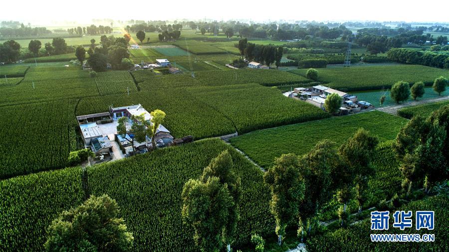 (權威訪談·聚焦中國經濟亮點·圖文互動)(2)防治土地荒漠化 推動綠色發(fā)展——專訪國家林業(yè)和草原局副局長劉東生