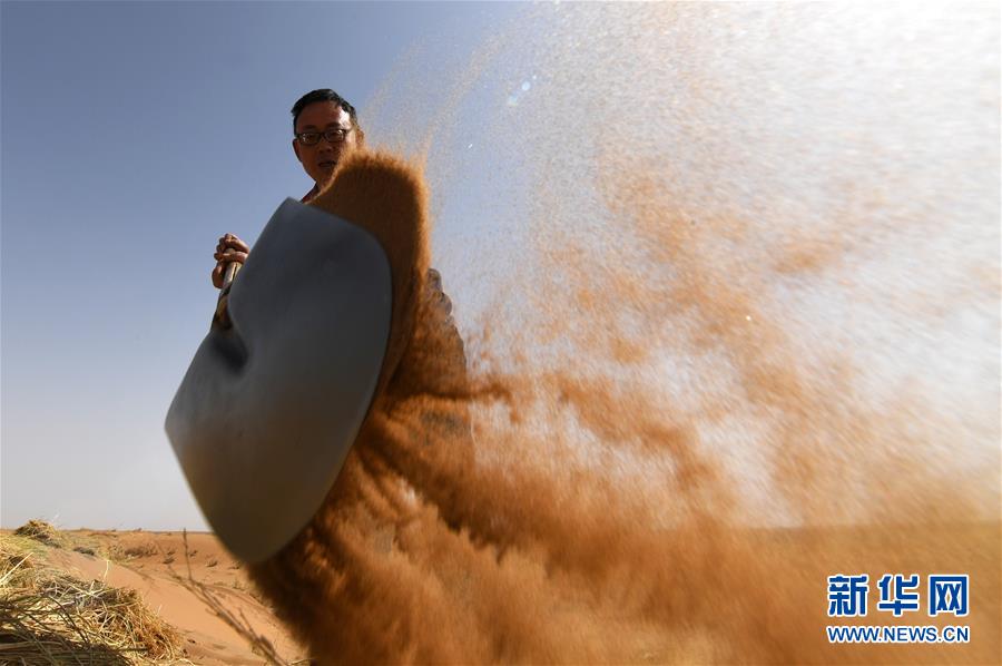 (權威訪談·聚焦中國經濟亮點·圖文互動)(10)防治土地荒漠化 推動綠色發(fā)展——專訪國家林業(yè)和草原局副局長劉東生