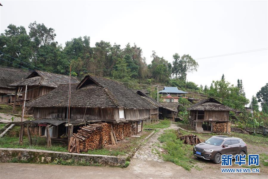 (直過民族脫貧攻堅(jiān)·圖文互動(dòng))(6)“人類童年·西盟佤部落”成長(zhǎng)記