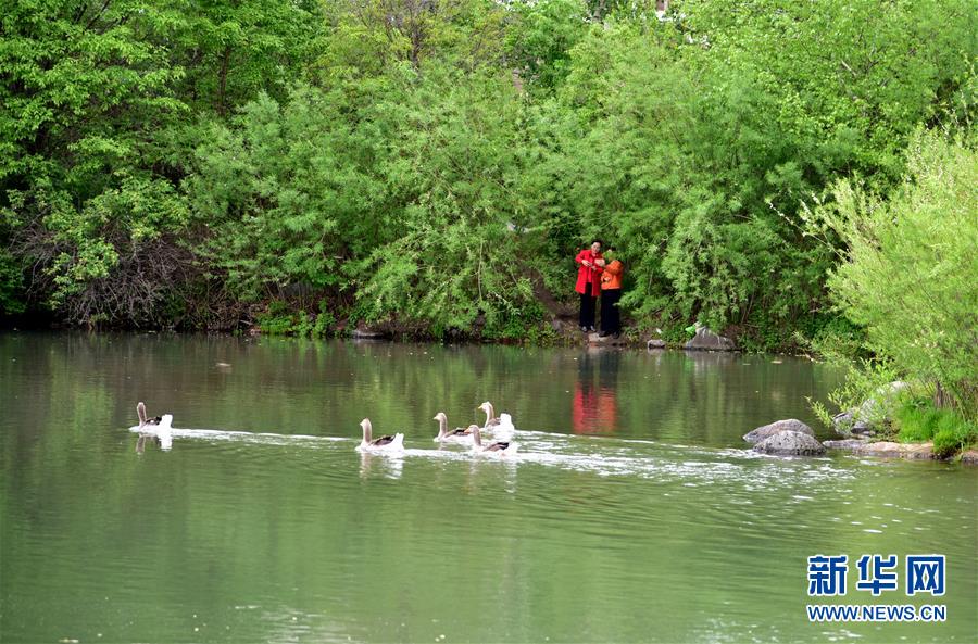 （在習(xí)近平新時(shí)代中國特色社會(huì)主義思想指引下&mdash;&mdash;新時(shí)代新作為新篇章&middot;圖文互動(dòng)）（4）在這里，遇見&ldquo;詩和遠(yuǎn)方&rdquo;&mdash;&mdash;長白山下&ldquo;第一鎮(zhèn)&rdquo;的全域旅游實(shí)踐