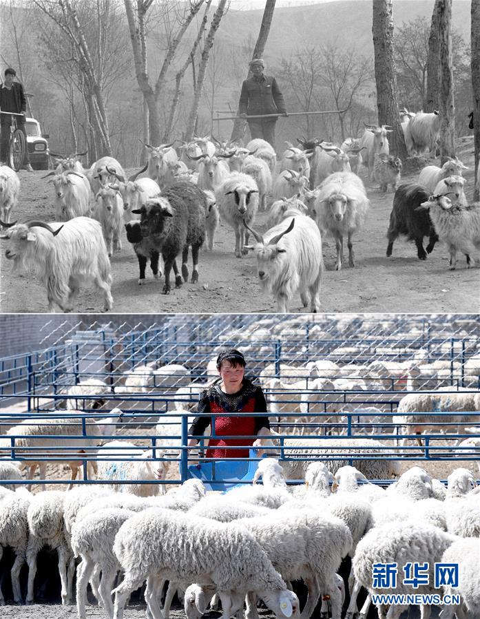 （新華全媒頭條&middot;圖文互動(dòng)）（4）不忘初心使命 永立時(shí)代潮頭&mdash;&mdash;寫(xiě)在中國(guó)共產(chǎn)黨成立98周年之際